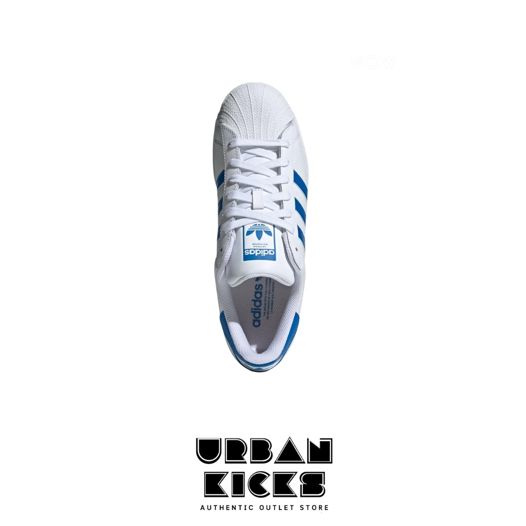 Adidas Superstar White & Blue Men's